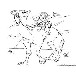Dibujo para colorear: Dromedario (Animales) #5994 - Dibujos para Colorear e Imprimir Gratis
