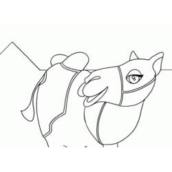 Dibujo para colorear: Dromedario (Animales) #6049 - Dibujos para Colorear e Imprimir Gratis