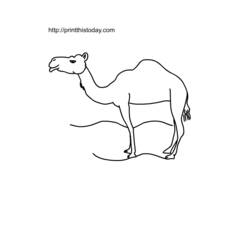 Dibujo para colorear: Dromedario (Animales) #6076 - Dibujos para Colorear e Imprimir Gratis