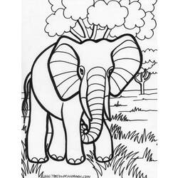 Dibujo para colorear: Elefante (Animales) #6327 - Dibujos para Colorear e Imprimir Gratis