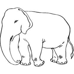 Dibujo para colorear: Elefante (Animales) #6342 - Dibujos para Colorear e Imprimir Gratis