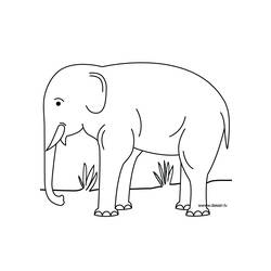 Dibujo para colorear: Elefante (Animales) #6440 - Dibujos para Colorear e Imprimir Gratis