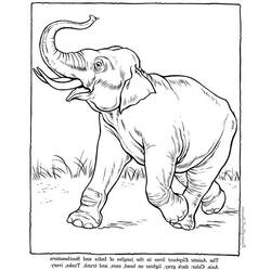 Dibujo para colorear: Elefante (Animales) #6442 - Dibujos para Colorear e Imprimir Gratis