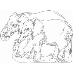 Dibujo para colorear: Elefante (Animales) #6486 - Dibujos para Colorear e Imprimir Gratis