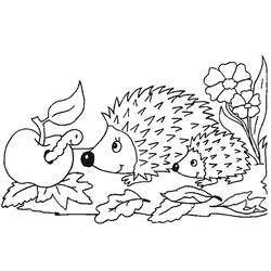 Dibujo para colorear: Erizo (Animales) #8211 - Dibujos para Colorear e Imprimir Gratis