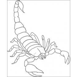 Dibujo para colorear: Escorpión (Animales) #14539 - Dibujos para Colorear e Imprimir Gratis
