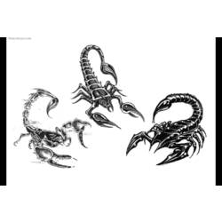 Dibujo para colorear: Escorpión (Animales) #14572 - Dibujos para Colorear e Imprimir Gratis