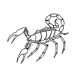 Dibujo para colorear: Escorpión (Animales) #14574 - Dibujos para Colorear e Imprimir Gratis