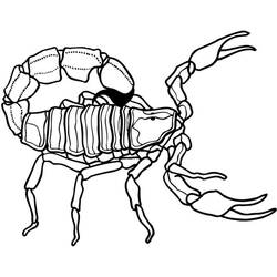 Dibujo para colorear: Escorpión (Animales) #14601 - Dibujos para Colorear e Imprimir Gratis