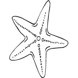 Dibujo para colorear: Estrella de mar (Animales) #6700 - Dibujos para Colorear e Imprimir Gratis