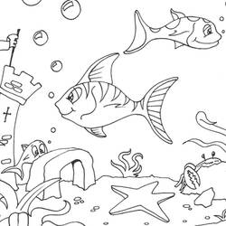 Dibujo para colorear: Estrella de mar (Animales) #6707 - Dibujos para Colorear e Imprimir Gratis
