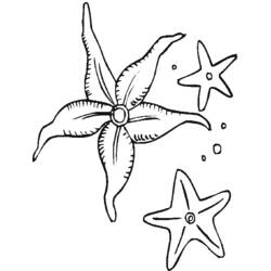 Dibujo para colorear: Estrella de mar (Animales) #6709 - Dibujos para Colorear e Imprimir Gratis