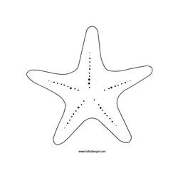 Dibujos para colorear: Estrella de mar - Dibujos para Colorear e Imprimir Gratis