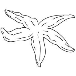 Dibujo para colorear: Estrella de mar (Animales) #6713 - Dibujos para Colorear e Imprimir Gratis