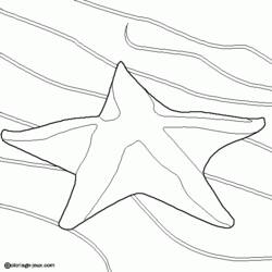 Dibujo para colorear: Estrella de mar (Animales) #6715 - Dibujos para Colorear e Imprimir Gratis
