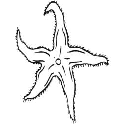 Dibujo para colorear: Estrella de mar (Animales) #6716 - Dibujos para Colorear e Imprimir Gratis