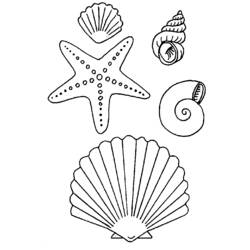 Dibujo para colorear: Estrella de mar (Animales) #6794 - Dibujos para Colorear e Imprimir Gratis