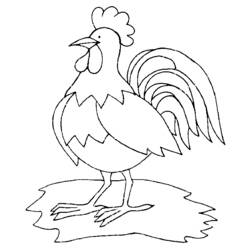 Dibujo para colorear: Gallo (Animales) #4114 - Dibujos para Colorear e Imprimir Gratis