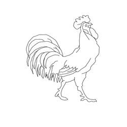 Dibujo para colorear: Gallo (Animales) #4119 - Dibujos para Colorear e Imprimir Gratis