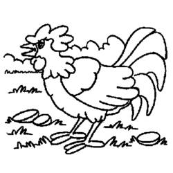Dibujo para colorear: Gallo (Animales) #4151 - Dibujos para Colorear e Imprimir Gratis
