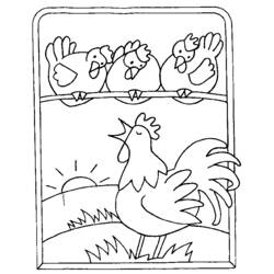 Dibujo para colorear: Gallo (Animales) #4158 - Dibujos para Colorear e Imprimir Gratis