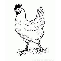 Dibujo para colorear: Gallo (Animales) #4174 - Dibujos para Colorear e Imprimir Gratis