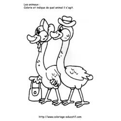 Dibujo para colorear: Ganso (Animales) #11662 - Dibujos para Colorear e Imprimir Gratis