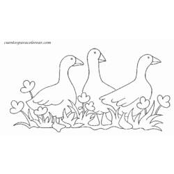 Dibujo para colorear: Ganso (Animales) #11676 - Dibujos para Colorear e Imprimir Gratis