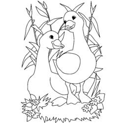 Dibujo para colorear: Ganso (Animales) #11679 - Dibujos para Colorear e Imprimir Gratis
