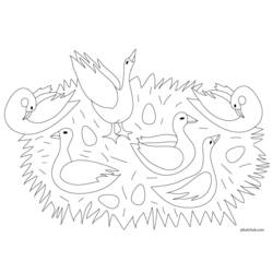 Dibujo para colorear: Ganso (Animales) #11726 - Dibujos para Colorear e Imprimir Gratis