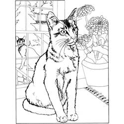 Dibujo para colorear: Gato (Animales) #1772 - Dibujos para Colorear e Imprimir Gratis