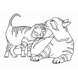 Dibujo para colorear: Gato (Animales) #1776 - Dibujos para Colorear e Imprimir Gratis