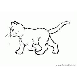 Dibujo para colorear: Gato (Animales) #1812 - Dibujos para Colorear e Imprimir Gratis