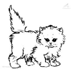 Dibujo para colorear: Gato (Animales) #1832 - Dibujos para Colorear e Imprimir Gratis