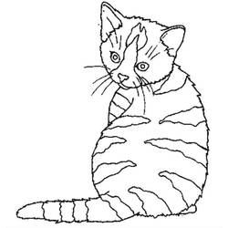 Dibujo para colorear: Gato (Animales) #1843 - Dibujos para Colorear e Imprimir Gratis