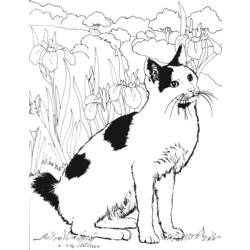 Dibujo para colorear: Gato (Animales) #1846 - Dibujos para Colorear e Imprimir Gratis