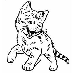 Dibujo para colorear: Gato (Animales) #1904 - Dibujos para Colorear e Imprimir Gratis