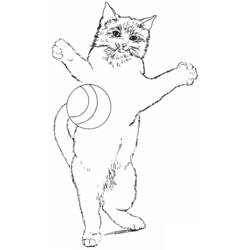 Dibujo para colorear: Gato (Animales) #1908 - Dibujos para Colorear e Imprimir Gratis
