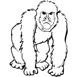 Dibujo para colorear: Gorila (Animales) #7419 - Dibujos para Colorear e Imprimir Gratis