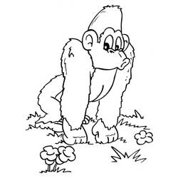 Dibujo para colorear: Gorila (Animales) #7460 - Dibujos para Colorear e Imprimir Gratis