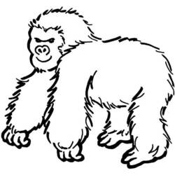 Dibujo para colorear: Gorila (Animales) #7475 - Dibujos para Colorear e Imprimir Gratis