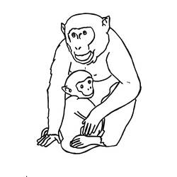 Dibujo para colorear: Gorila (Animales) #7476 - Dibujos para Colorear e Imprimir Gratis