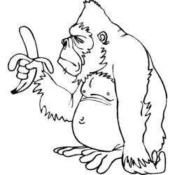 Dibujo para colorear: Gorila (Animales) #7482 - Dibujos para Colorear e Imprimir Gratis