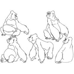 Dibujo para colorear: Gorila (Animales) #7496 - Dibujos para Colorear e Imprimir Gratis