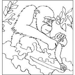 Dibujo para colorear: Gorila (Animales) #7498 - Dibujos para Colorear e Imprimir Gratis