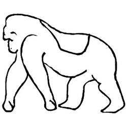 Dibujo para colorear: Gorila (Animales) #7502 - Dibujos para Colorear e Imprimir Gratis