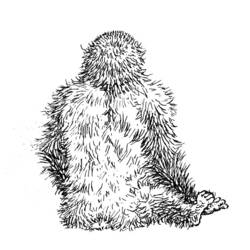 Dibujo para colorear: Gorila (Animales) #7507 - Dibujos para Colorear e Imprimir Gratis