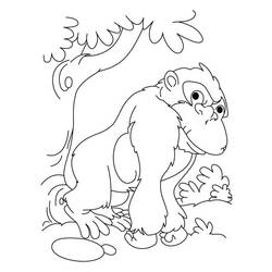 Dibujo para colorear: Gorila (Animales) #7534 - Dibujos para Colorear e Imprimir Gratis