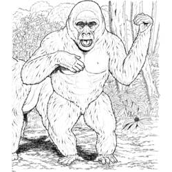 Dibujo para colorear: Gorila (Animales) #7561 - Dibujos para Colorear e Imprimir Gratis