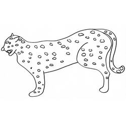 Dibujo para colorear: Guepardo (Animales) #7875 - Dibujos para Colorear e Imprimir Gratis